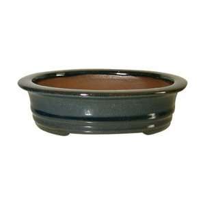   Bonsai Tree Pot   Ceramic Glazed   8 inch Patio, Lawn & Garden