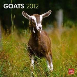  Goats 2012 Wall Calendar 12 X 12