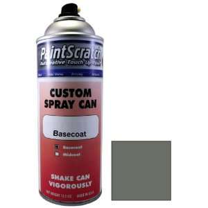 12.5 Oz. Spray Can of Medium Gray (Interior) Touch Up Paint for 1998 