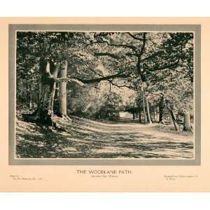  Cassiobury Park Watford England Wooded Path Hertfordshire England 
