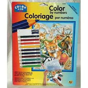 Color by Numbers Kit, Animals Toys & Games