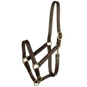   Choice Brands Stable Halter With Snap Yearling   203S/3