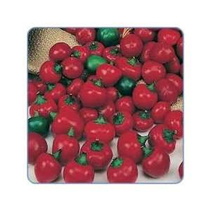   Pepper Seeds 20 Rare Italian Heirloom Seeds HOT Peppers Patio, Lawn