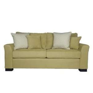    Spencer Sofa with Pillows in Lotus Green Furniture & Decor