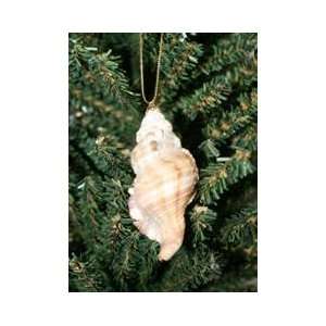  Hairy Triton Seashell Christmas Ornament 