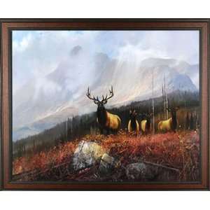  Elk II Michael Coleman Bull Gallery Quality Framed Print Pictures 