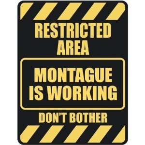   RESTRICTED AREA MONTAGUE IS WORKING  PARKING SIGN