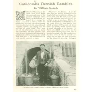  1907 Growing Mshrooms in European Catacombs Cellars 