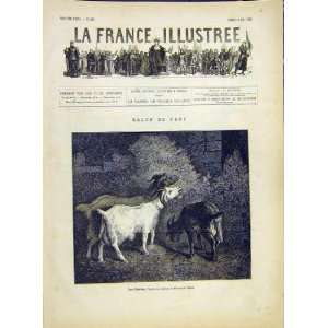  Goats Animal Garden Simon Fine Art French Print 1882