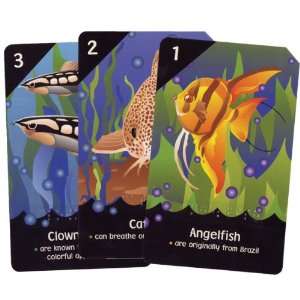  Go Fish Flash Cards Brailled