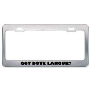 Got Dove Langur? Animals Pets Metal License Plate Frame Holder Border 