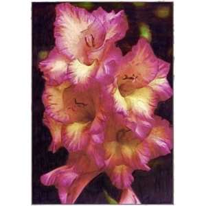  Pink Gladiola Spike Original Flower Print By Michael 