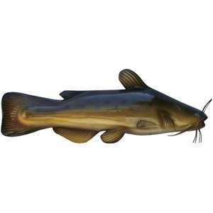   Bullhead Catfish Fish Mount 20 Replica Wood Carving Chainsaw Free