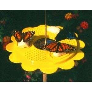 Butterfly Feeder 12 Ounce With Ant Moat Butterflies  