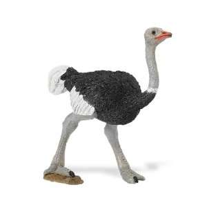  Wild Safari Wildlife Ostrich Toys & Games