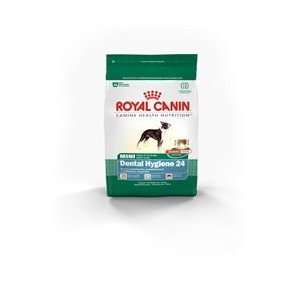 Royal Canin Mini Dental Hygiene (24) Formula Dry Dog Food  