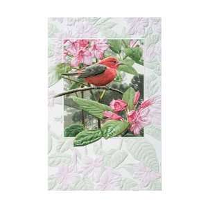   Tanager Bday   Everyday Greeting Cards. Pack of 6 