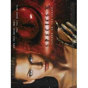 Movie Poster (30 x 40 Inches   77cm x 102cm) (1998) UK  (Natasha 