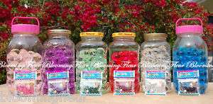 Bio Gel CRYSTAL Water Beads for Lucky Bamboo etc. 4 pck  