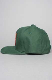 Analog The Flexfit Trademark Cap in Dark Green  Karmaloop 