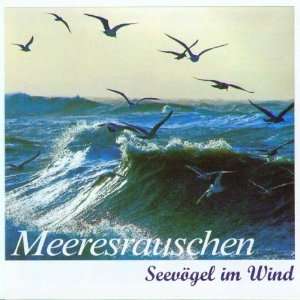   Seevögel im Wind  Karl H. Dingler, Alfred Werle Bücher