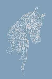 Irideon Long Sleeve Kids Horse Tee Shirt  