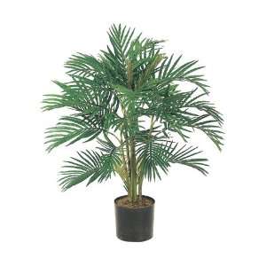 Areca Palm Tree in Round Plastic Pot (Pack of 2) 
