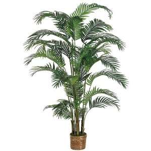  6 Areca Silk Palm Tree w/Wicker Basket (case of 2)