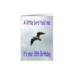  Happy 38th Birthday Flying Seagull bird Card Toys & Games