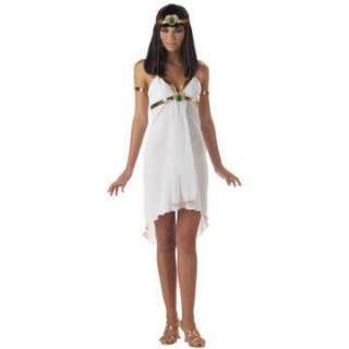 Egyptian Princess Teen Costume   Includes dress, headband with 
