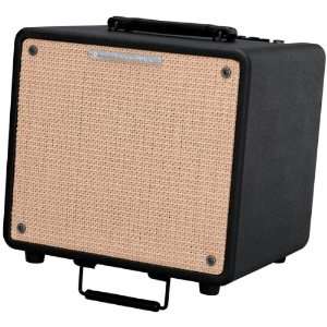  Troubadour 80 Watt Acoustic Guitar Amplifier Musical Instruments