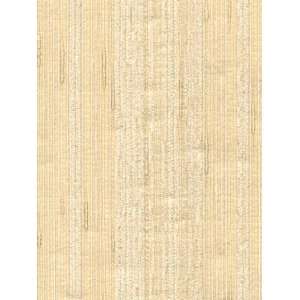  Wallpaper Astek Grasscloth & textures V AtX223