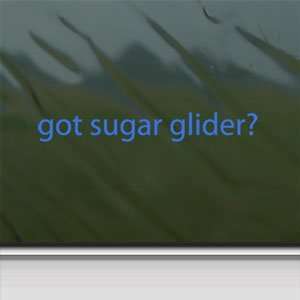  Got Sugar Glider? Blue Decal Animal House Pet Car Blue 