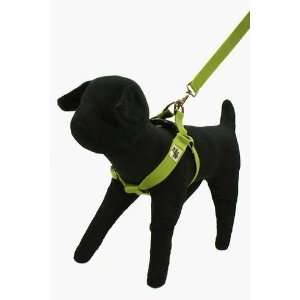 Designer Dog Harness   Bamboo Zen Dog Harness   Green   Small   Made 