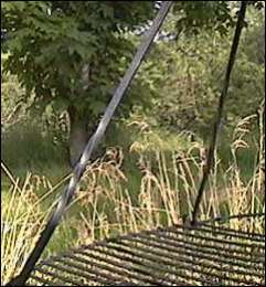 The Big Woods Tripod is sturdy and strong, yet easy to carry and 