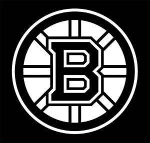 Boston Bruins Vinyl Car Window Sticker / Decal (white)  
