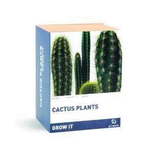   Republic Grow It. Grow Your Own Cactus Plants Patio, Lawn & Garden