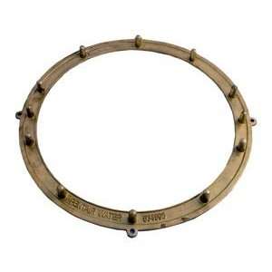   AquaLight Brass Mounting Ring for Plaster 79203200
