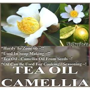 30+) Tea oil Camellia oleifera SEEDS Used In Soap Making COOKING OIL 