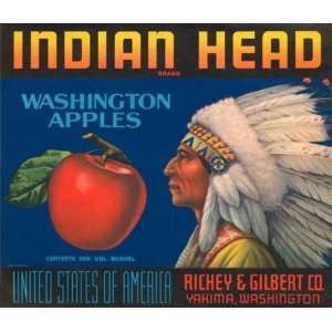  INDIAN HEAD WASHINGTON APPLES USA FRUIT CRATE LABEL PRINT 