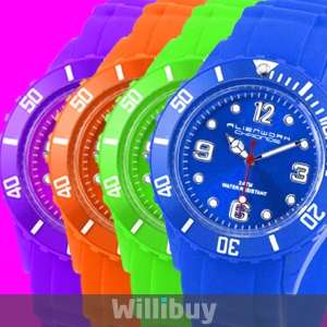 ICE Geneva Wristwatch/Watch Fashion U VS024  