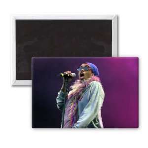 Macy Gray   3x2 inch Fridge Magnet   large magnetic button   Magnet