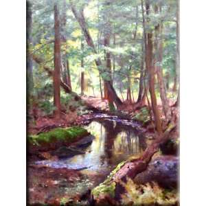  Robinson Brook 12x16 Streched Canvas Art by Whitney, Richard 