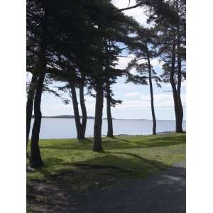 Sunlight Peeking Through Evergreen Trees on Shore Overlooking Scenic 