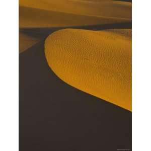  Sand Dunes in Morning Light, Mesquite Flats, Death Valley 