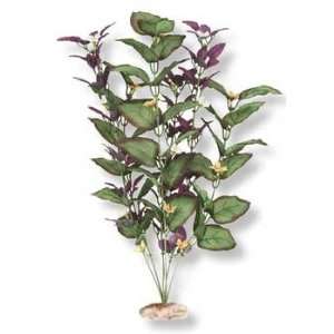   Flowering Buds Plum (Catalog Category Aquarium / Plants other) Pet