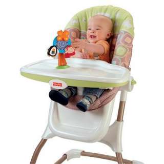 Fisher Price Discover N Grow Twirl & Swirl Spinner product details 