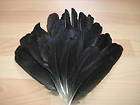 30 Jackdaw Wing Feathers * Native American Tribal Arts & Crafts