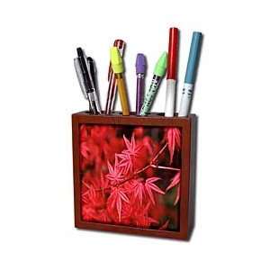 Yves Creations Colorful Leaves   Vibrant Red Leaves   Tile Pen Holders 