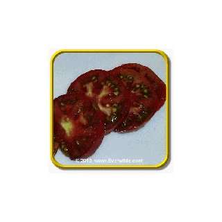  1 Lb Heirloom Tomato Seeds   Brandywine Black Bulk 